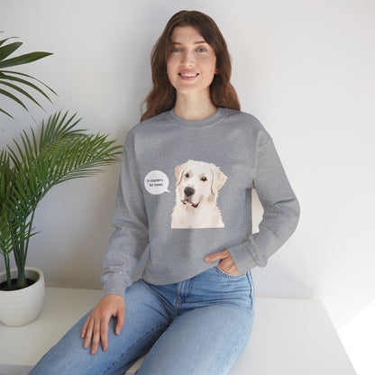FELPA GIROCOLLO - SONO TESTARDO MA DOLCE Cute Dog Quote Crewneck Sweatshirt