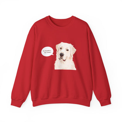 FELPA GIROCOLLO - SONO TESTARDO MA DOLCE Cute Dog Quote Crewneck Sweatshirt