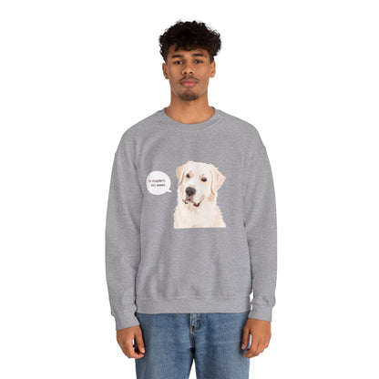 FELPA GIROCOLLO - SONO TESTARDO MA DOLCE Cute Dog Quote Crewneck Sweatshirt