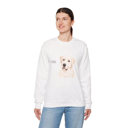 FELPA GIROCOLLO - SONO TESTARDO MA DOLCE Cute Dog Quote Crewneck Sweatshirt